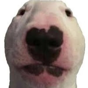 Meet your Posher, Anderson